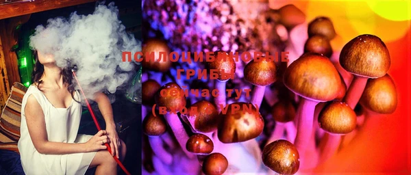 дурь Абинск